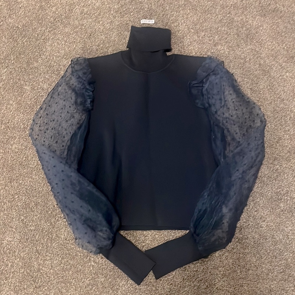 Zara long sleeve with sheer arms.